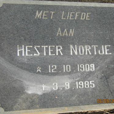 NORTJE Hester 1909-1985