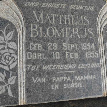 BLOMERUS Mattheus 1954-1955