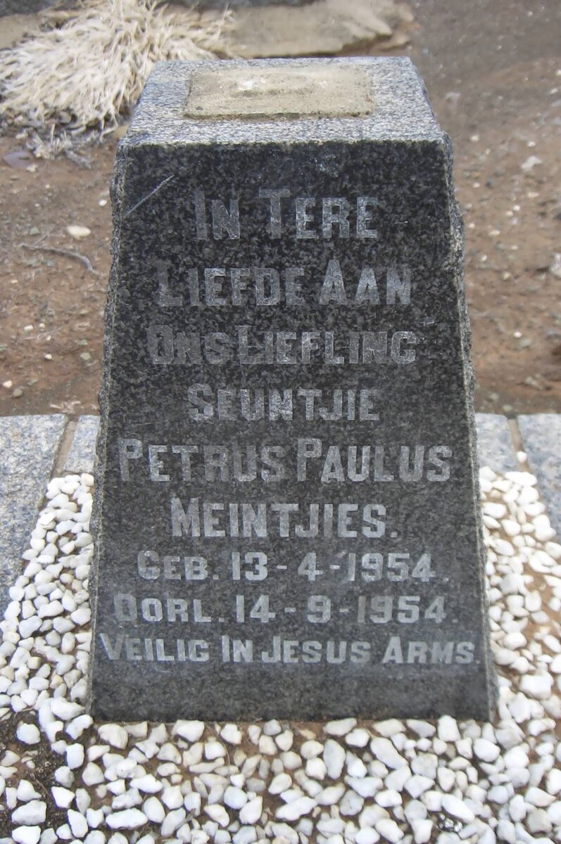 MEINTJIES Petrus Paulus 1954-1954