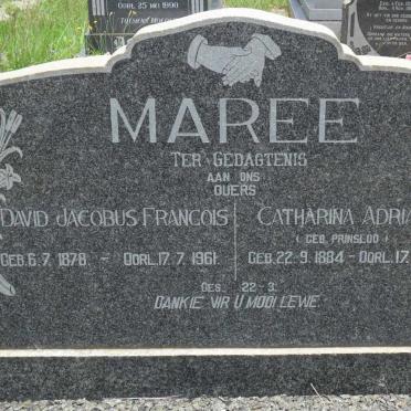 MAREE David Jacobus Francois 1878-1961 &amp; Catharina Adriana PRINSLOO 1884-1969
