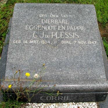 PLESSIS C.J., du 1904-1947
