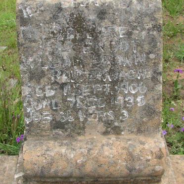 RAUTENBACH William Brown 1906-1935