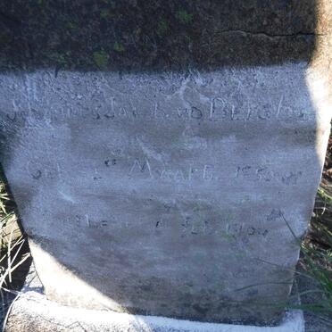 BERGH Johannes Jacob, v.d. 1850-1904