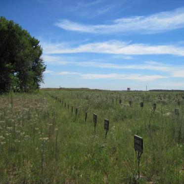 Free State, VILJOENSDRIF, Urban area