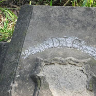 COETZEE Petrus D.J. -1927