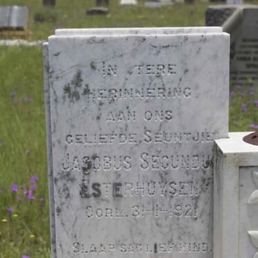 E - Surnames :: Vanne - E