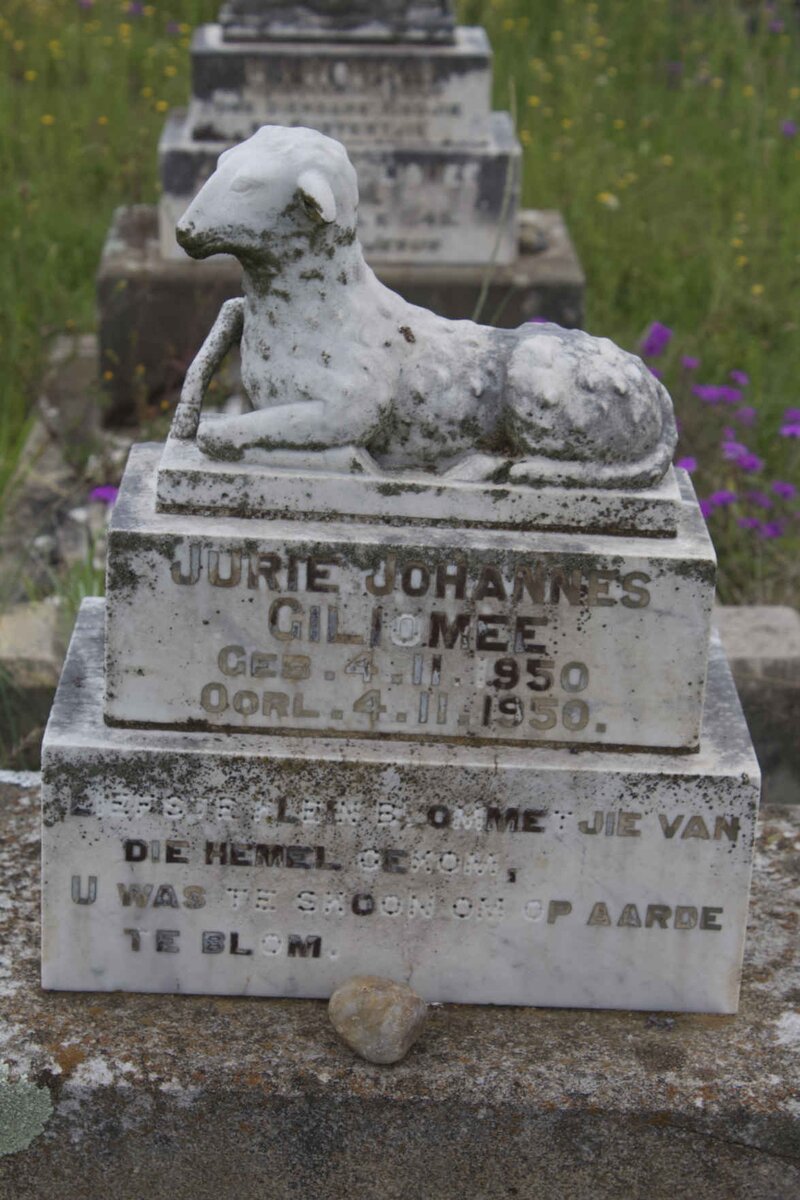 GILIOMEE Jurie Johannes 1950-1950