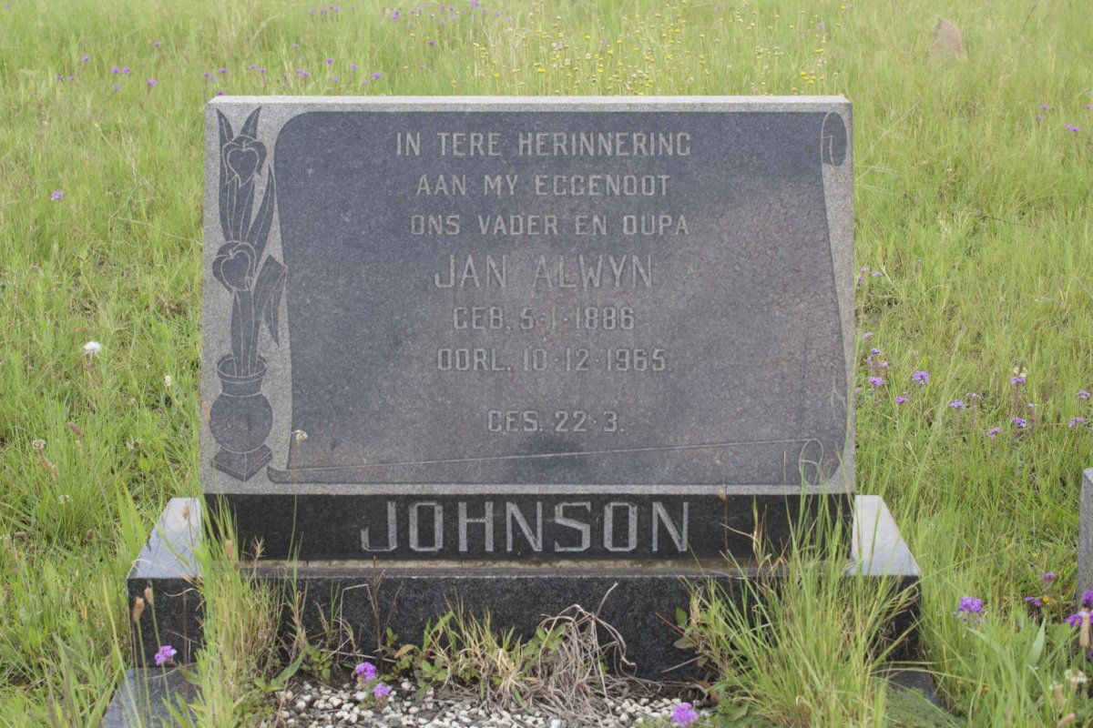 JOHNSON Jan Alwyn 1886-1965