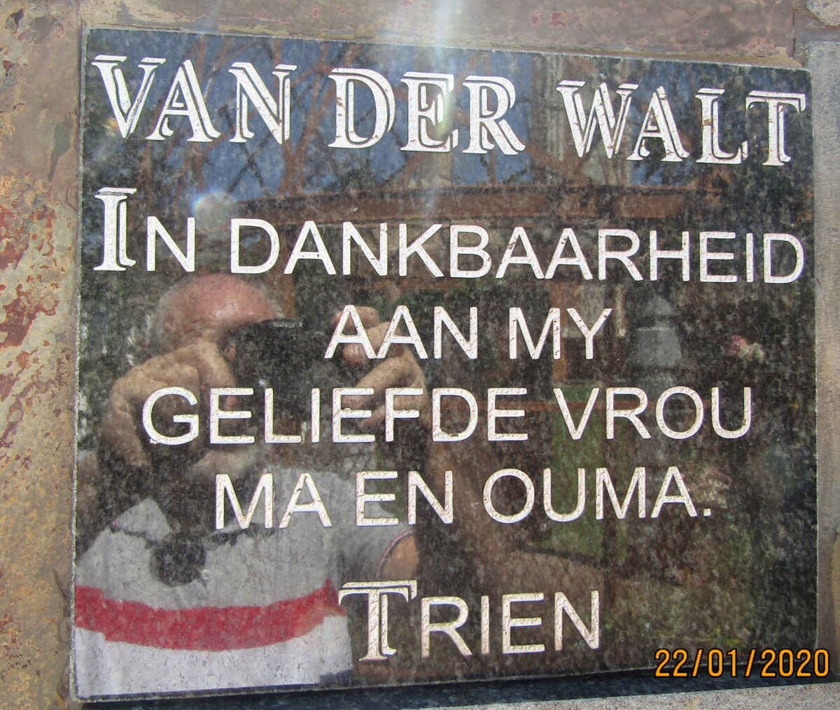 WALT Trien, van der