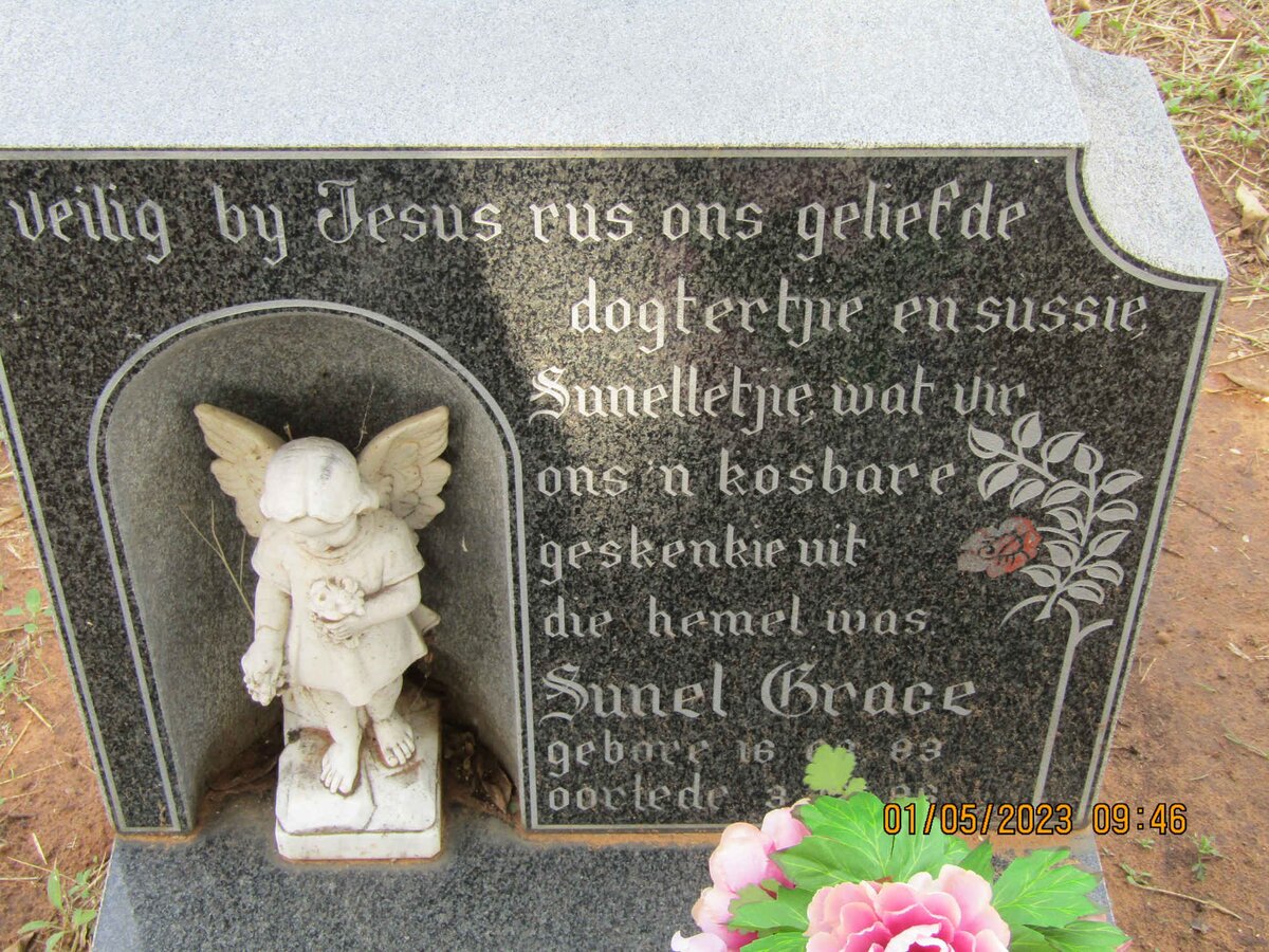 ? Sunel Grace 1983-1986