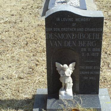 BERG Desmond, van den 1966-1973 