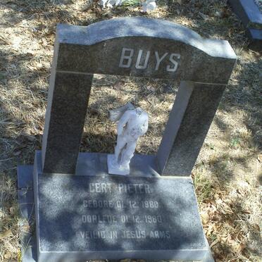 BUYS Gert Pieter 1980-1980
