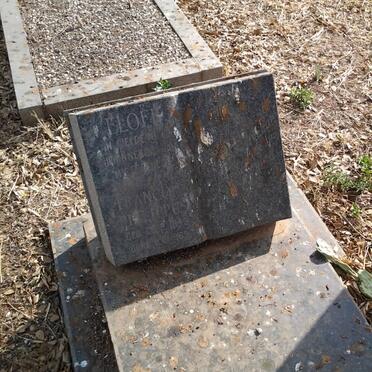 ELOFF Francois Philippus 1943-1963