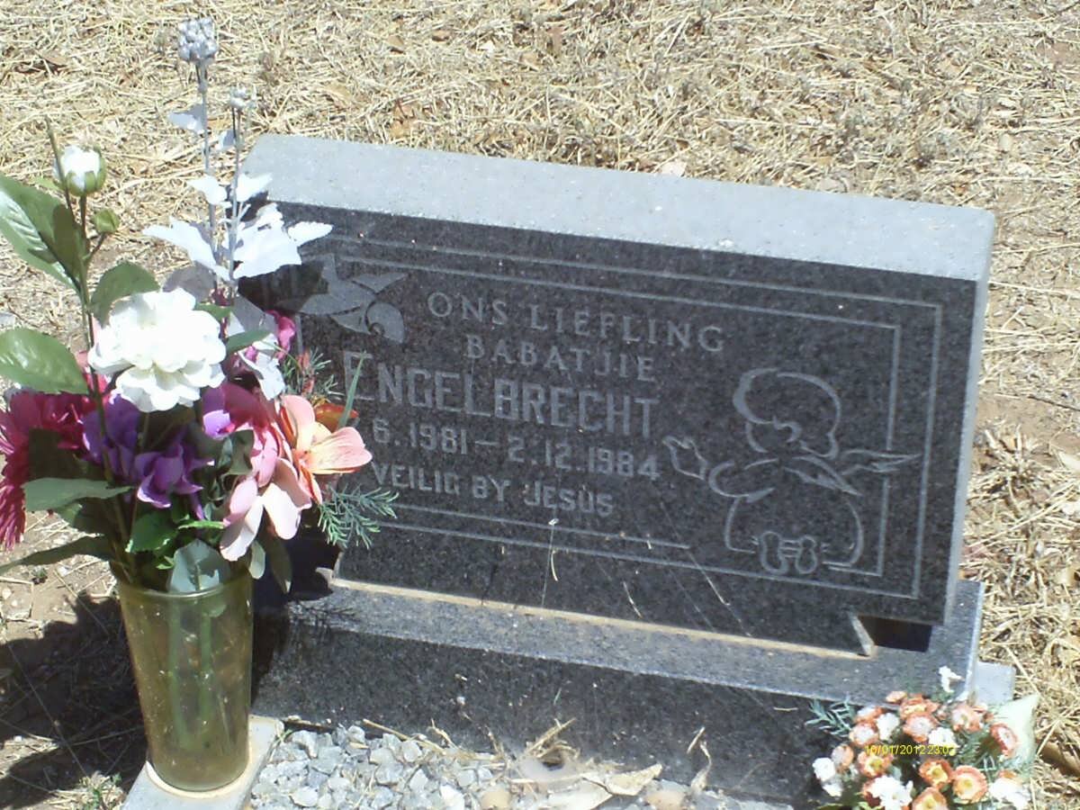 ENGELBRECHT 1981-1984