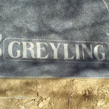 GREYLING