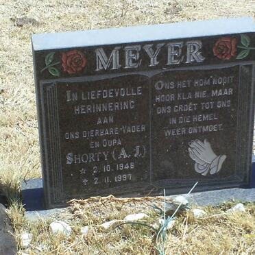 MEYER A.J. 1946-1997