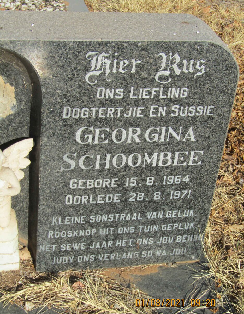 SCHOOMBEE Georgina 1964-1971