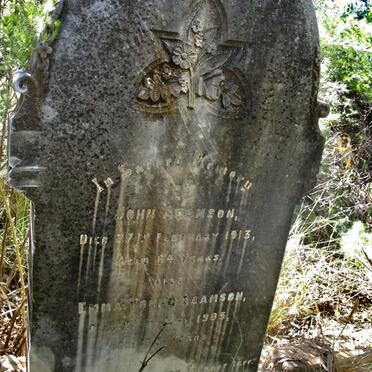 Free State, VIRGINIA district, Adamsons Vley 655, Adamsonsvlei, farm cemetery