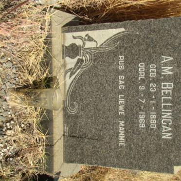 BELLINGAN A.M. 1880-1969