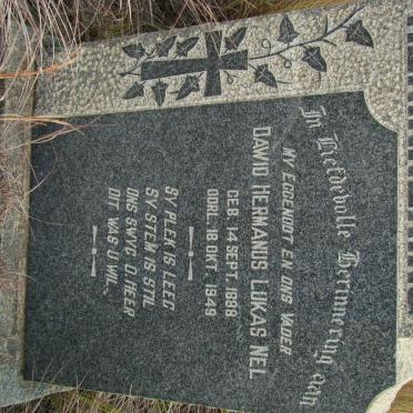 NEL Dawid Hermanus Lukas 1888-1949