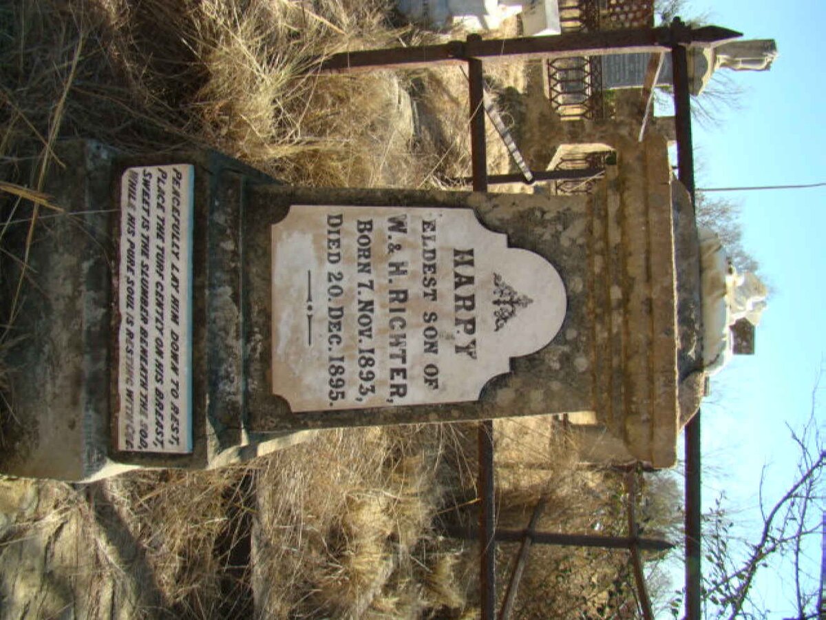 RICHTER Harry 1893-1895