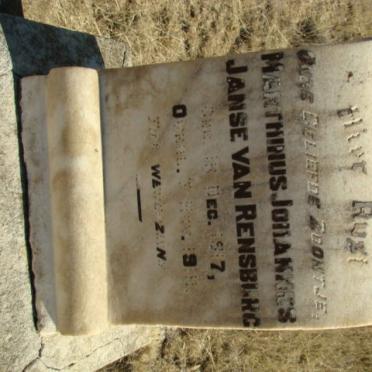 RENSBURG Marthinus Johannes, janse van 1917-191?