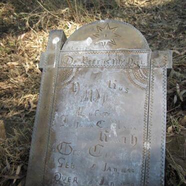 Free State, VREDEFORT district, Rooipoort 372, farm cemetery