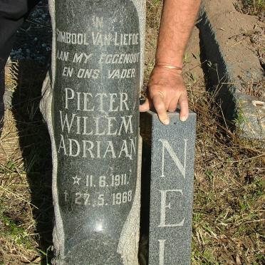 NEL Pieter Willem Adriaan 1911-1968