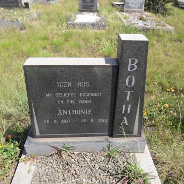 BOTHA Anthonie 1907-1968