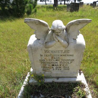 FILMALTER Hendrik Adolf 1955-1956