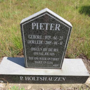 HOLTSHAUZEN Pieter 1929-2005