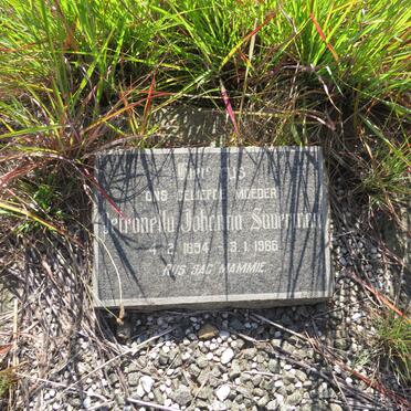 SAUERMAN Petronella Johanna 1894-1966