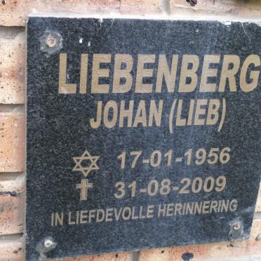 LIEBENBERG Johan 1956-2009
