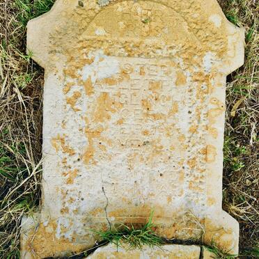 STIGLINGH Hester Alletta 1933-1935