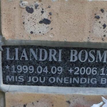 BOSMAN Liandri 1999-2006