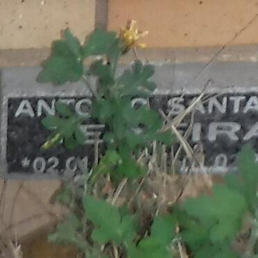 TEIXEIRA A.S. -2012