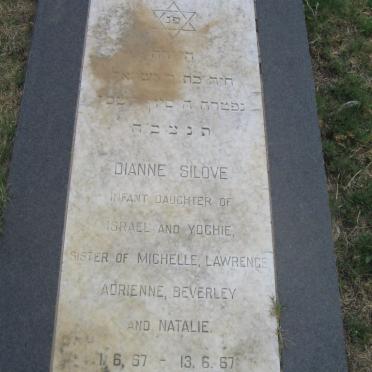 SILOVE Dianne 1967-1967