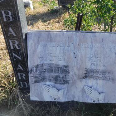 BARNARD H.H.S. 1938-1997 &amp; Stella 1942-