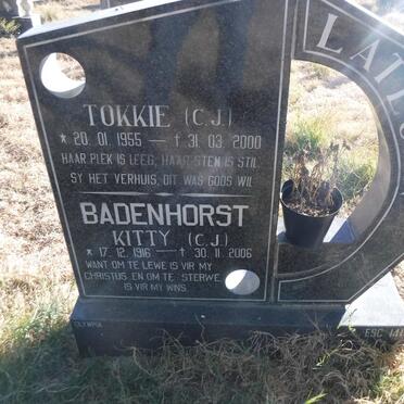 BADENHORST C.J. 1916-2006 :: LATEGAN C.J. 1955-2000