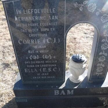 BAM C.J. &amp; E.S.C.