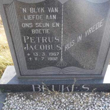 BEUKES Petrus Jacobus 1967-1982