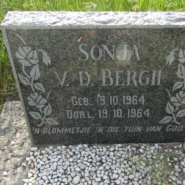 BERGH Sonja, v.d. 1964-1964