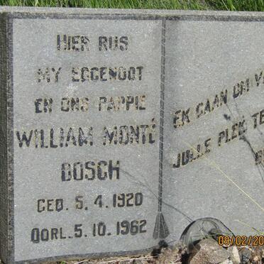 BOSCH William Monte 1920-1962