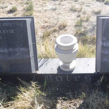 BOTES Pieter Willem 1918-1986 &amp; Dorethea Susanna Cornelia 1917-1979