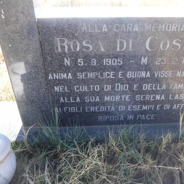 COSMO Rosa, di 1905-1987