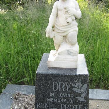 DRY Ronel Protea 1963-1964