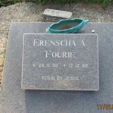 FOURIE Erenscha A. 1968-1968