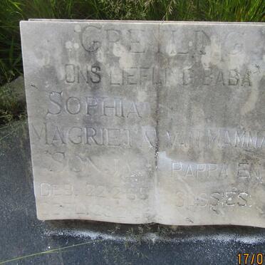 GREYLING Sophia Magrieta Sonja 1965-1965