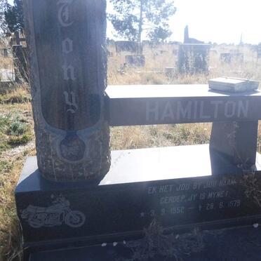 HAMILTON Tony 1952-1979