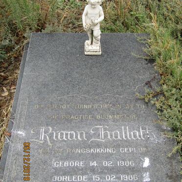 HALLATT Riaan 1986-1986